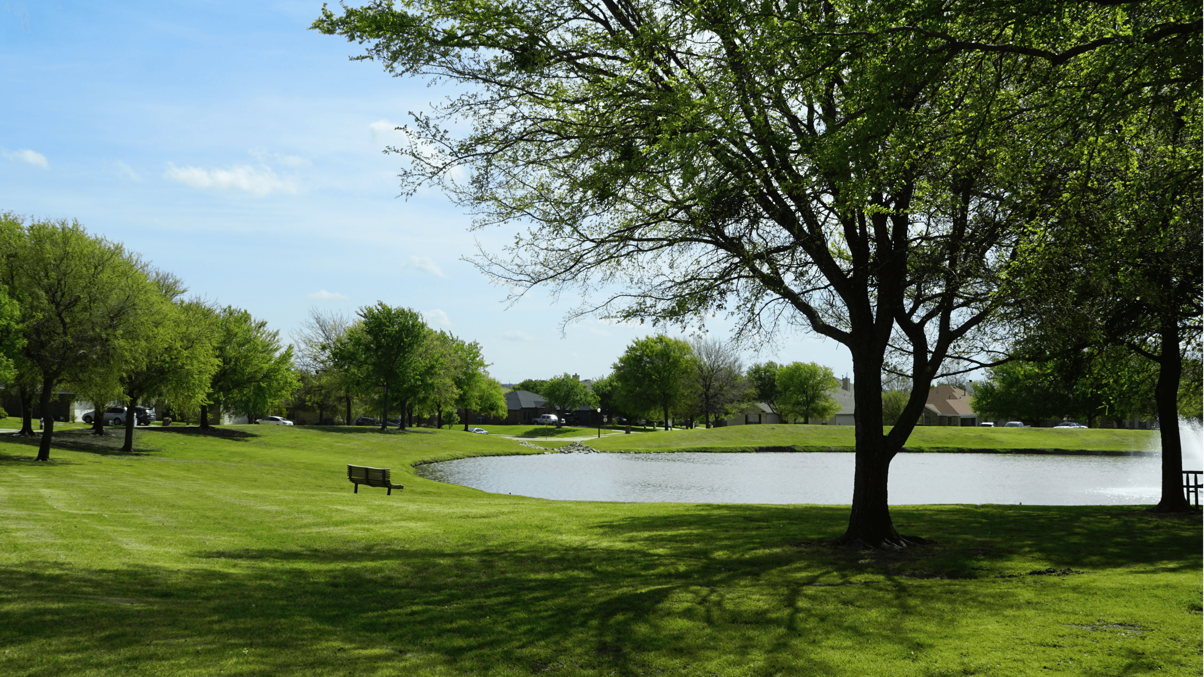 Pond